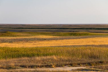 Ukrayna 'daki Sivash Gölü manzarası