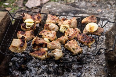 Izgarada domuz eti kızartılıyor. Kömürde et, barbekü yakın.