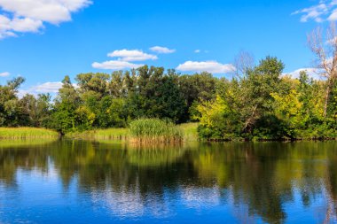 Güzel bir nehir, yeşil ağaçlar ve mavi gökyüzü olan yaz manzarası