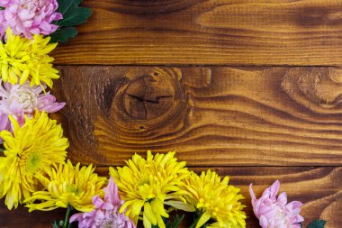 Ahşap arka planda güzel kasımpatılar. Üst görünüm, alanı kopyala