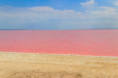 Ukrayna 'nın Kherson bölgesindeki pembe tuzlu Syvash Gölü manzarası