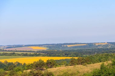 Yaz manzarası Ayçiçeği tarlaları, tepeler ve mavi gökyüzü