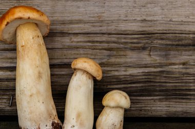 Köy ahşap masada taze toplanmış porcini mantarları. Üst görünüm