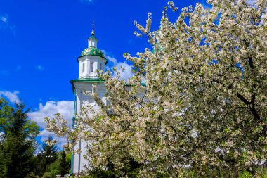 Ukrayna 'nın Poltava bölgesinde Lubny yakınlarındaki Kurtarıcı-Şekil Değiştiren Mhar Manastırı