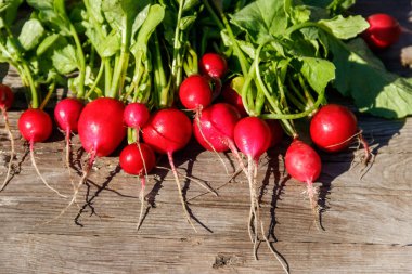 Kırsal ahşap masa üzerinde yaprakları olan taze kırmızı turp. Üst görünüm