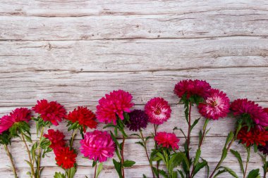 Ahşap arka planda Aster çiçekleri. Üst görünüm, alanı kopyala