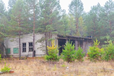 Çernobil Yasak Bölge, Ukrayna 'daki Pripyat hayalet kasabasında terk edilmiş eski bir ev.