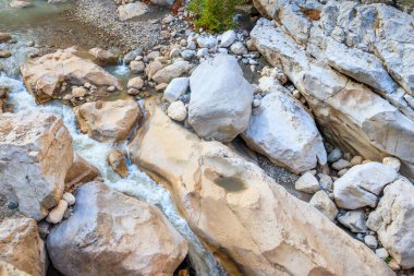 Güzel dağ deresi olan manzaralı bir yer. Küçük bir nehirde berrak suyu olan ideal bir manzara. Hızlı su akışı yakın çekim