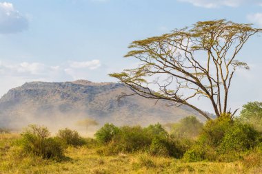 Serengeti Milli Parkı, Tanzanya