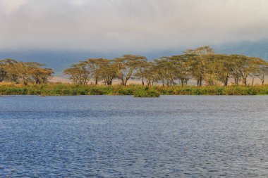 Tanzanya, Ngorongoro Krateri 'nde bir göl manzarası