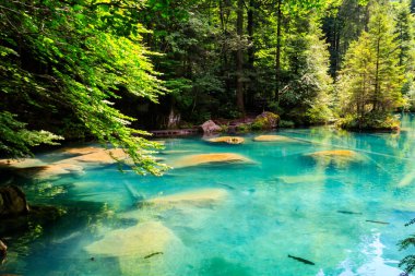 Blausee Gölü veya Bernese Oberland 'deki Mavi Göl, Kandergrund, İsviçre