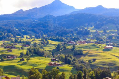 Bernese Oberland, İsviçre 'deki Grindelwald köyünün manzarası