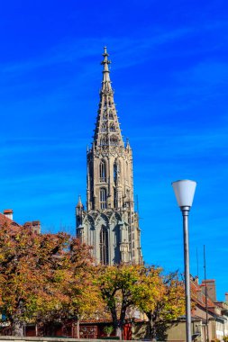 Bern Minster, İsviçre 'nin Bern şehrinde yer alan bir katedraldir.
