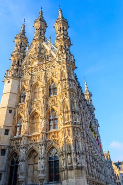 Belediye Binası, leuven, Belçika