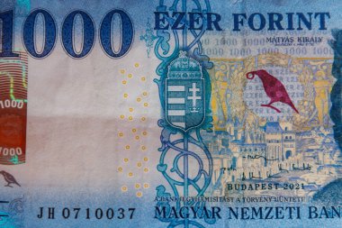 1000 Macar forint tasarısının makro çekimi