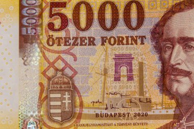 5000 Macar forint banknotunun makro çekimi