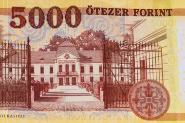 5000 Macar forint banknotunun makro çekimi