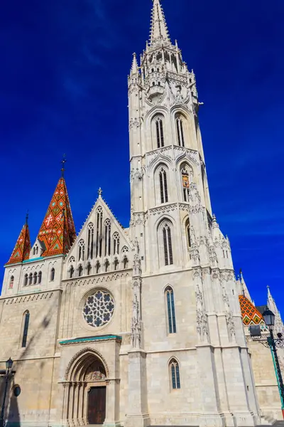 Buda Kalesi Varsayımı Kilisesi, Macaristan 'ın başkenti Budapeşte' deki Kutsal Üçleme Meydanı 'nda yer alan bir Katolik kilisesidir.