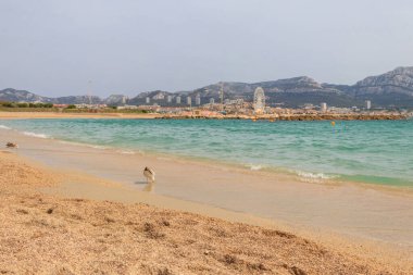 Fransa, Marsilya 'daki Prado plajının manzarası