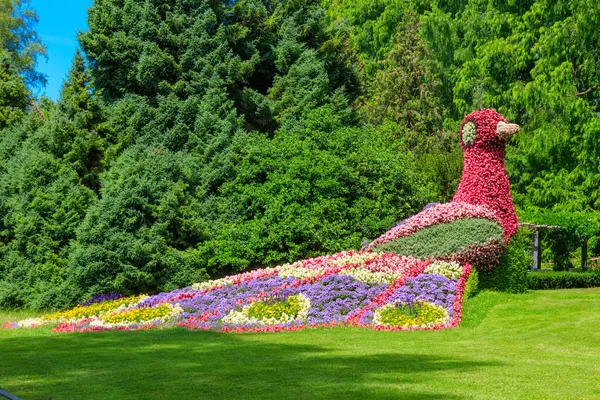 Tavuskuşu, Almanya 'nın Constance Gölü' ndeki Mainau adasındaki çiçeklerden yapılmıştır.