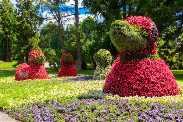 Çiçek adasındaki ördekler Constance Gölü 'ndeki Mainau, Almanya