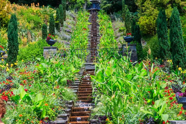 Almanya, Constance Gölü 'ndeki Mainau adasındaki İtalyan çiçek suyu merdivenleri.