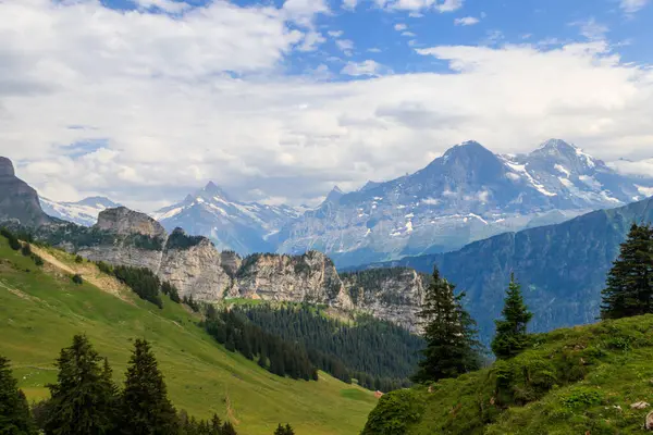 Karla kaplı İsviçre Alpleri ve İsviçre 'nin Bernese Oberland kentindeki Schynige Platte yakınlarında yeşil çiçekli alp çayırlarının panoramik manzarası