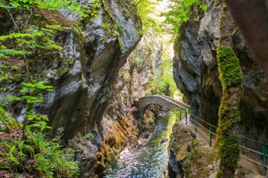 İsviçre 'deki Gorges de l' Areuse nehrinin üzerindeki eski taş köprü.