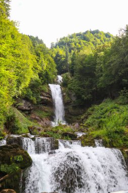 İsviçre, Brienz 'deki Brienz Gölü' ne Giessbach şelalesi akıyor.