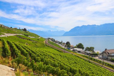 Ünlü Lavaux üzüm bağlarının manzarası, Cenevre Gölü ve İsviçre 'nin Vaud kantonundaki Alpler.