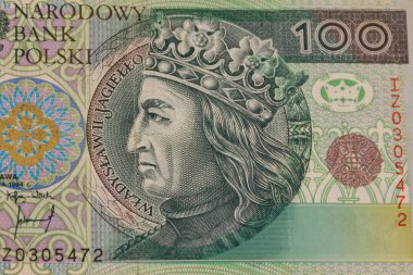 100 Polonyalı zloti banknotunun makro çekimi