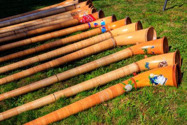 Alphorns çayırdaki çimlerin üzerinde yatıyor.