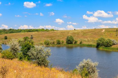 Güzel gölü olan yaz manzarası, yeşil çayırlar, tepeler, ağaçlar ve mavi gökyüzü.