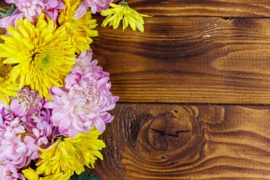 Ahşap arka planda güzel kasımpatılar. Üst görünüm, alanı kopyala