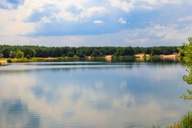 Yazın bir çam ormanında güzel bir göl manzarası