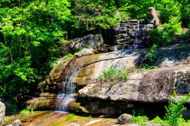 Uman, Ukrayna 'daki Sofiyivka parkında güzel bir şelale.