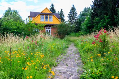Ukrayna köyünde küçük bir ev.
