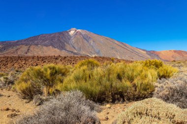 Teide Ulusal Parkı, Tenerife Adası, Kanarya Adaları, İspanya 'daki Teide volkanı manzarası