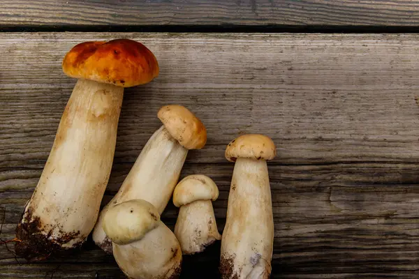 Köy ahşap masada taze toplanmış porcini mantarları. Üst görünüm