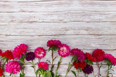 Ahşap arka planda Aster çiçekleri. Üst görünüm, alanı kopyala