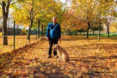 Sonbahar parkında Labrador av köpeğini gezdiren yakışıklı adam.