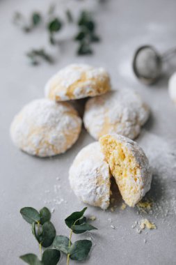 Hindistan cevizi parçacıklı ev yapımı tatlı kurabiyeler.