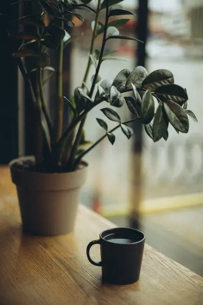 a vertical shot of a cup of coffee with a green plant