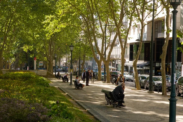 stock image Avenida da Liberdade the upmarket shopping street has a treelined centre section where you can sit in the shade