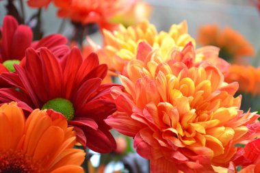 Bir buket çiçek, ateş gibi kırmızı ve bir ışık dekoru. Bir bukette çiçekler: Germini, Gerbera, Rose.