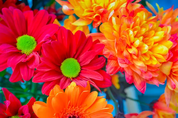 Bir buket çiçek, ateş gibi kırmızı ve bir ışık dekoru. Bir bukette çiçekler: Germini, Gerbera, Rose.