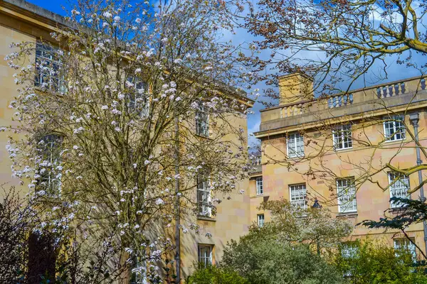 Yeşil çimenli ve turistlere açık kampüslü Downing College Quadrangle