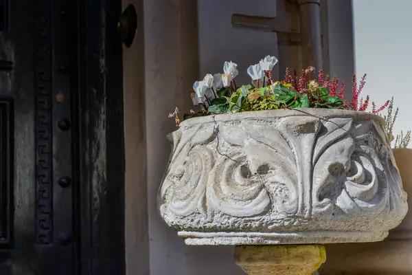 Brighton sokakları. Güzel girişleri olan özel bir sektör. Çiçek kapsülü ve siyah kapı 