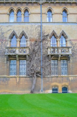 UK, Oxford, 21.03.2023: View to theconstituent collegeof theUniversity of Oxfordthat called Christ Church College clipart