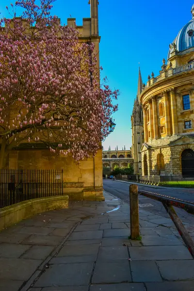 Resimdeki Radcliffe Kamerası, Bodleian Kütüphanesi 'nin ek okuma odalarına ev sahipliği yapıyor.